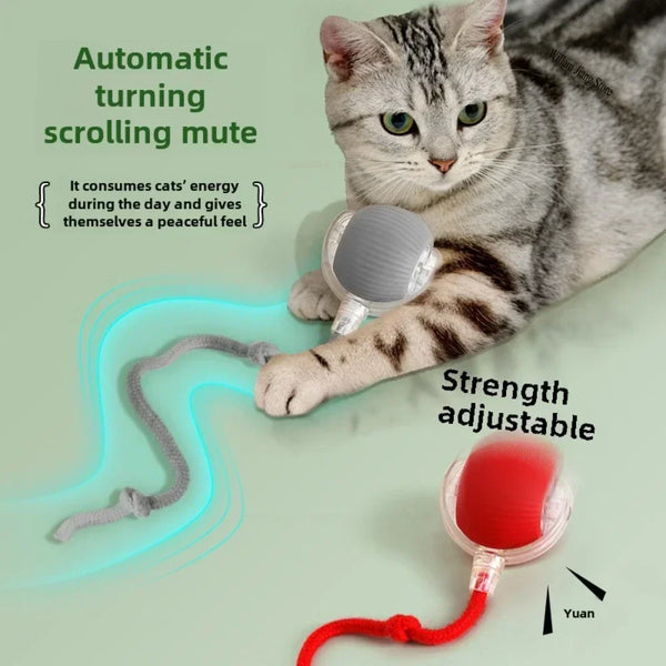 Automatic Interactive Electric Ball For Cats