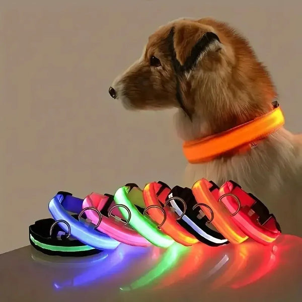 Nylon Luminous LED Night Dog Leash